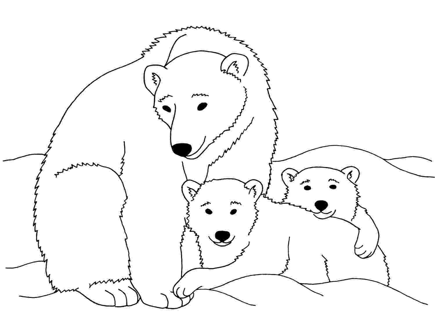 polar bear to color free printable polar bear coloring pages for kids bear color polar to 