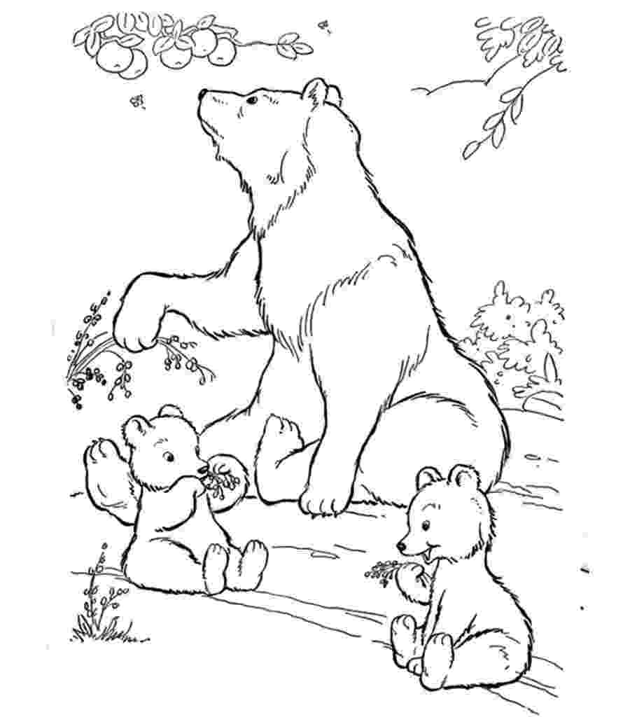 polar bear to color free printable polar bear coloring pages for kids bear to color polar 