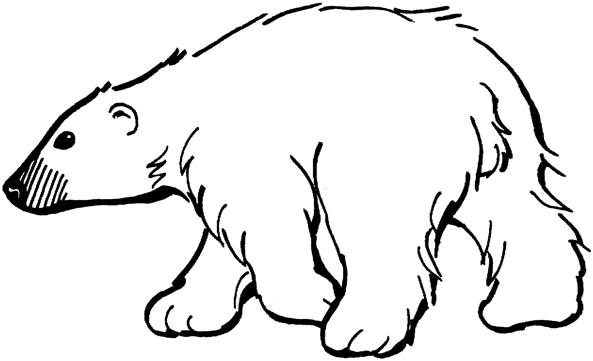 polar bear to color polar bear coloring pages to download and print for free color bear polar to 