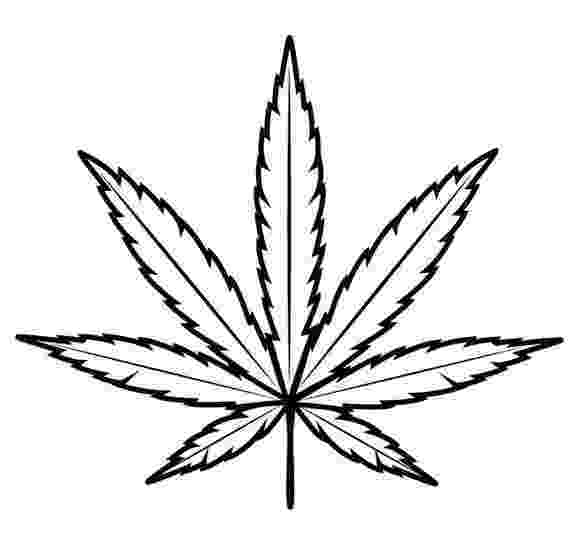 pot leaf got cancer decarboxylate your cannabis dennis hill leaf pot 