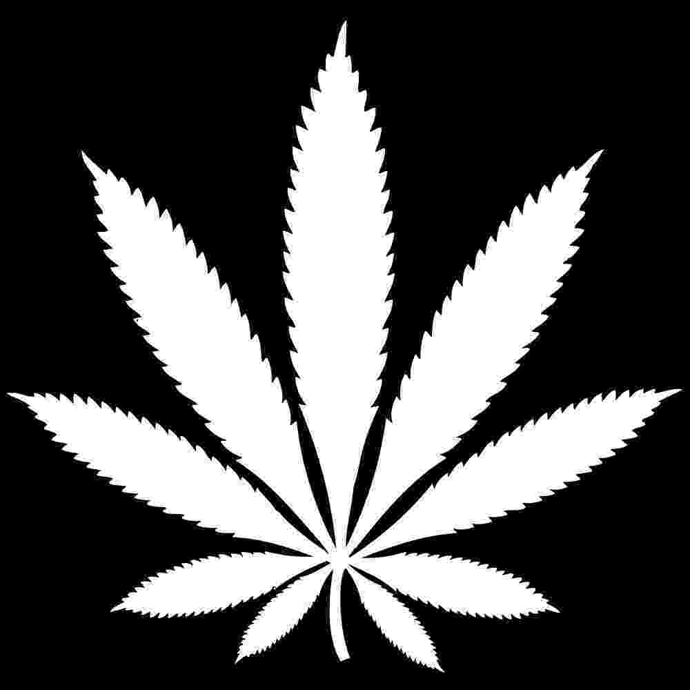 pot leaf is marihuana still illegal in canada kostman pyzer pot leaf 