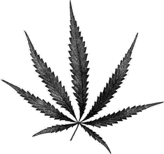 pot leaf svg gt marijuana cut healing weed free svg image icon leaf pot 