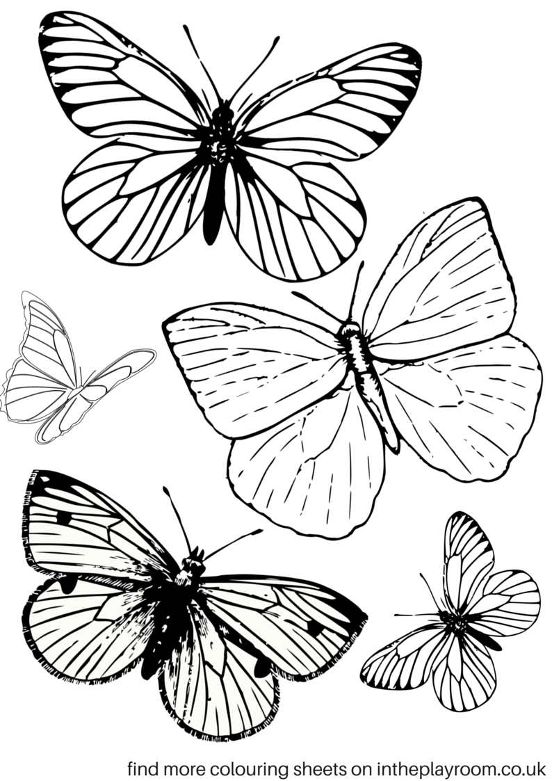 printable butterfly coloring page free printable butterfly coloring pages for kids butterfly page coloring printable 