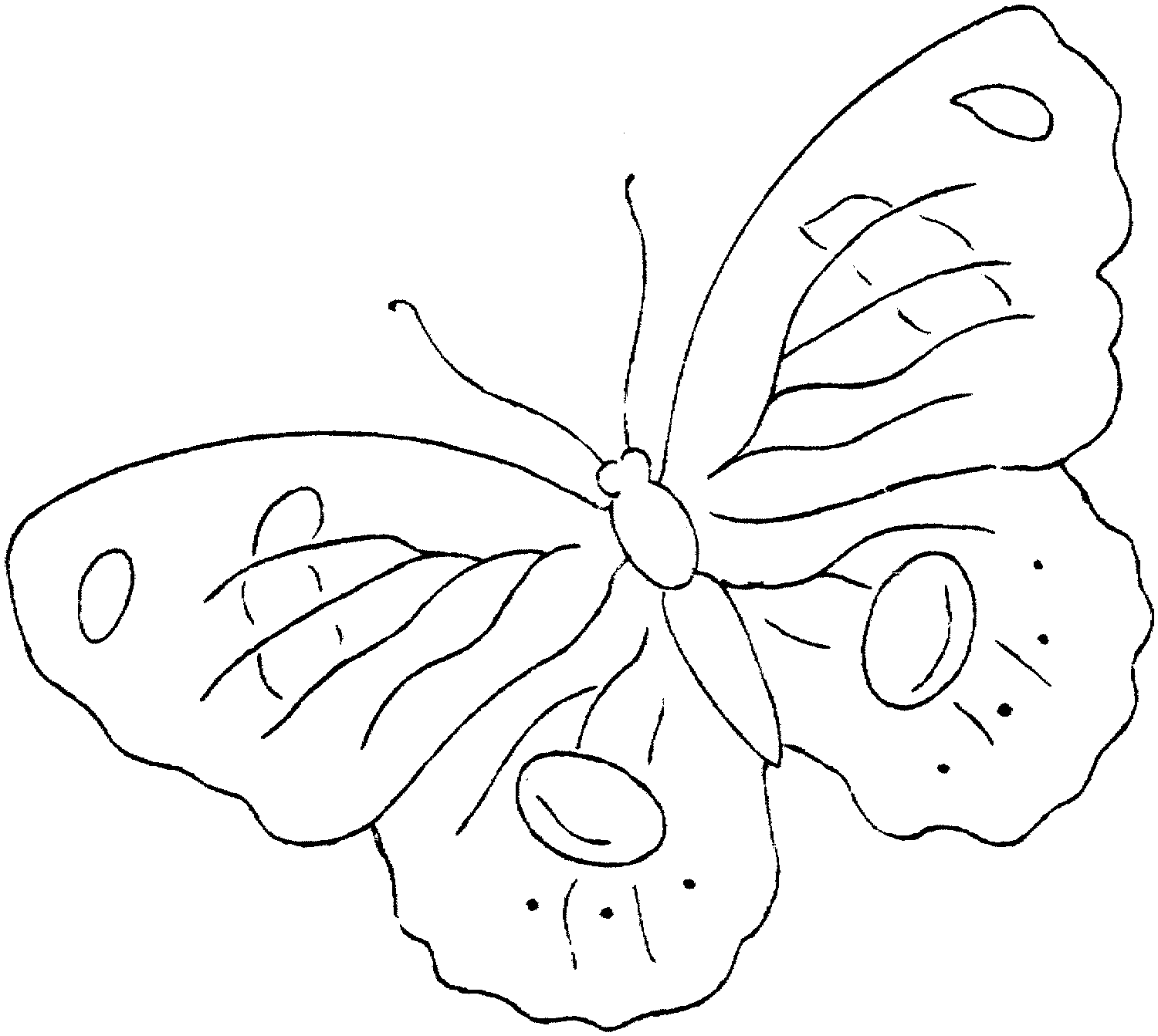 printable butterfly coloring page free printable butterfly coloring pages for kids coloring printable page butterfly 