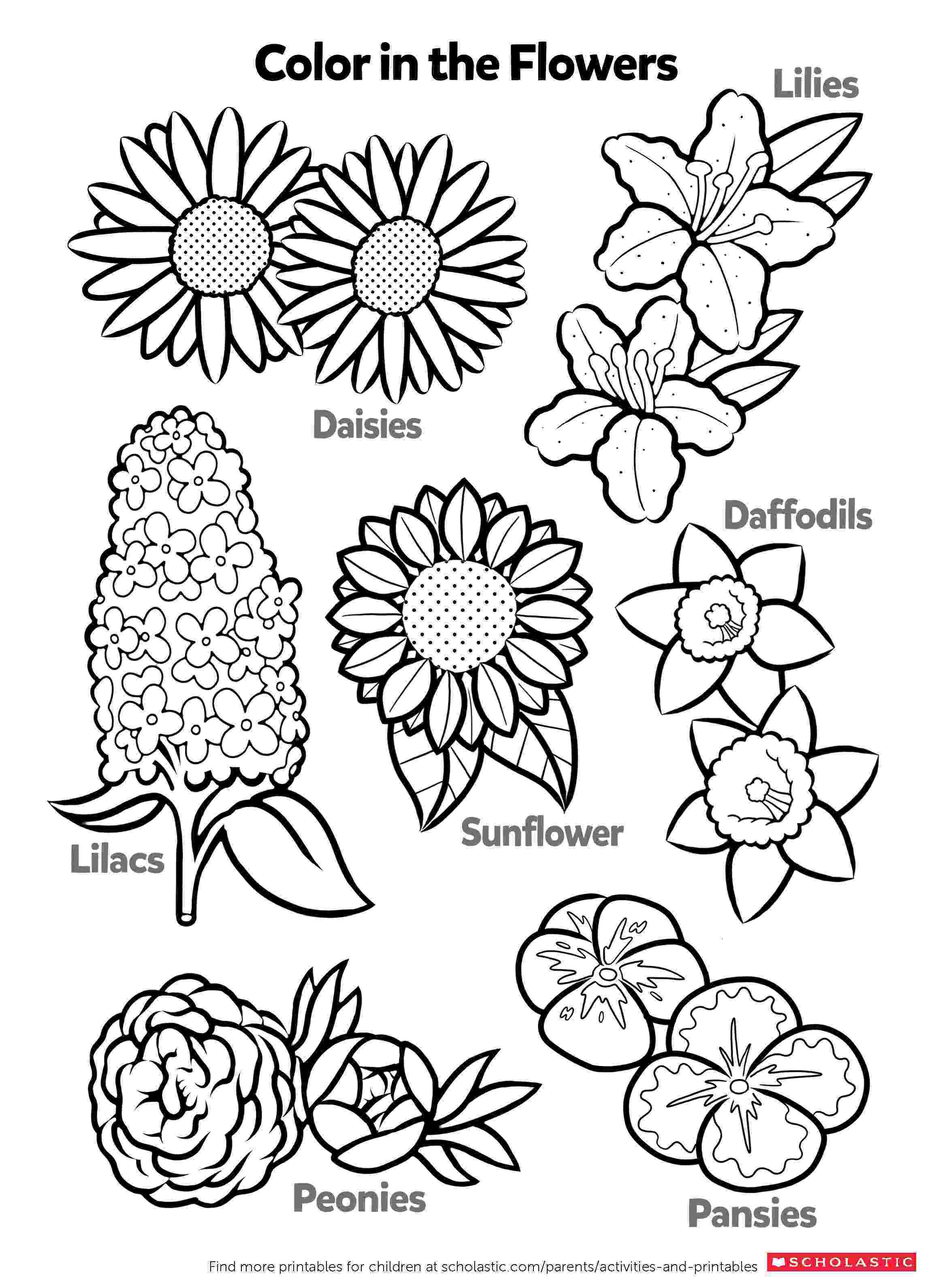 printable colouring sheets for preschoolers letter s coloring pages to download and print for free colouring sheets for printable preschoolers 