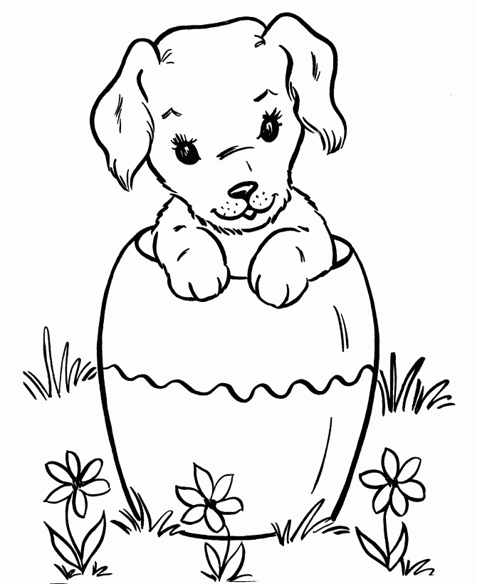 printable dog pictures to color puppy cute puppy coloring pages color pictures to printable dog 