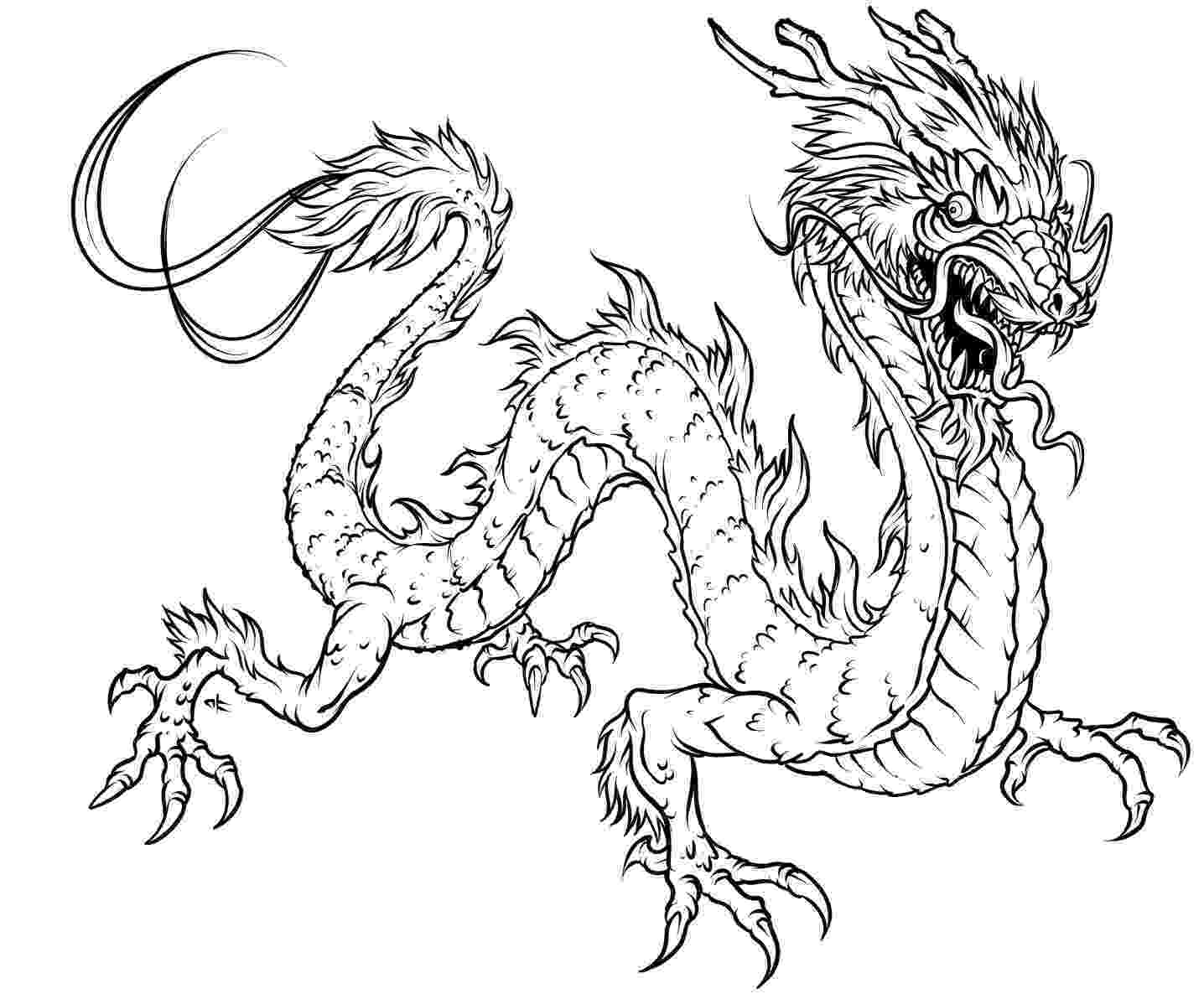 printable dragon dragon coloring pages for adults to download and print for printable dragon 