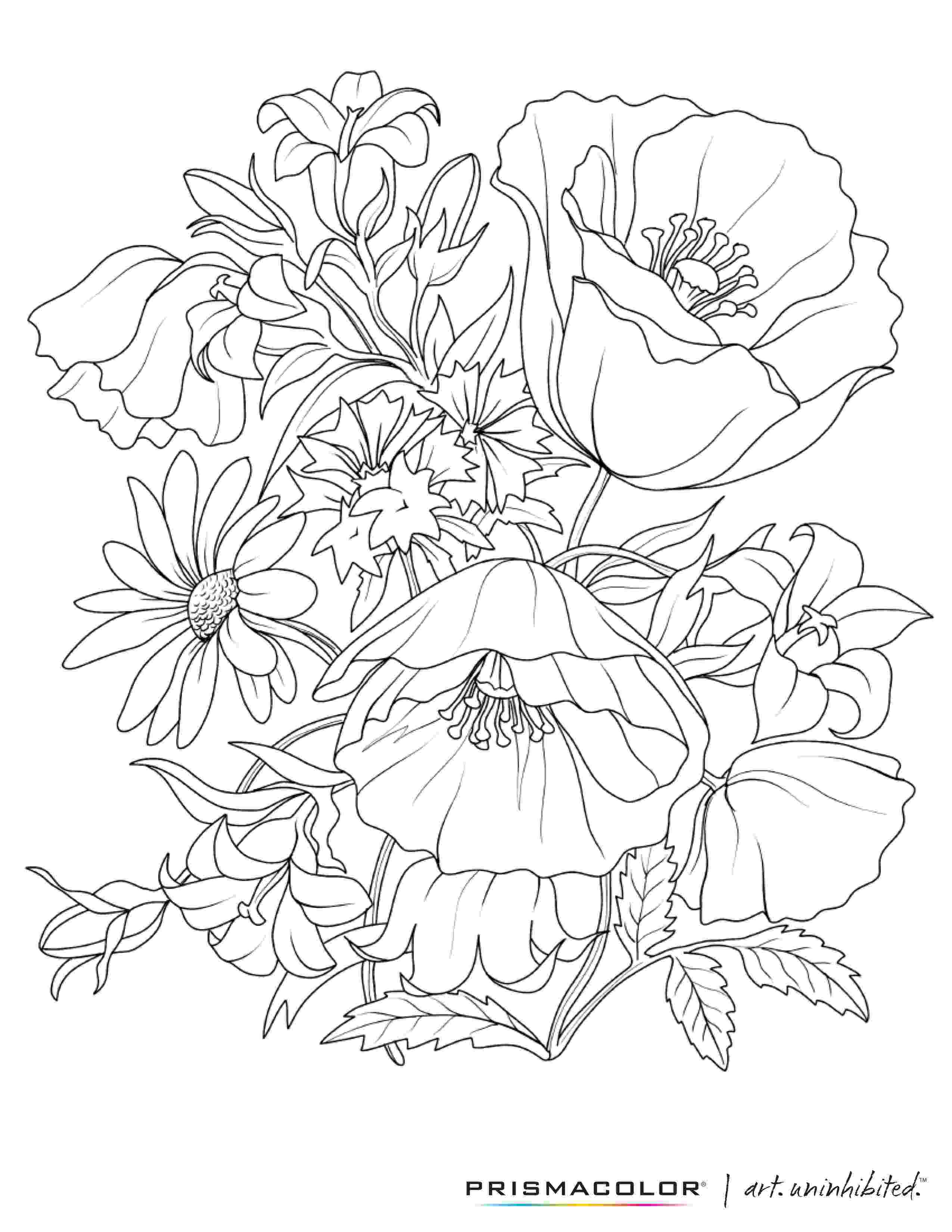 printable flower coloring pages for adults what a beautiful flower adult coloring page colouring coloring for adults printable flower pages 