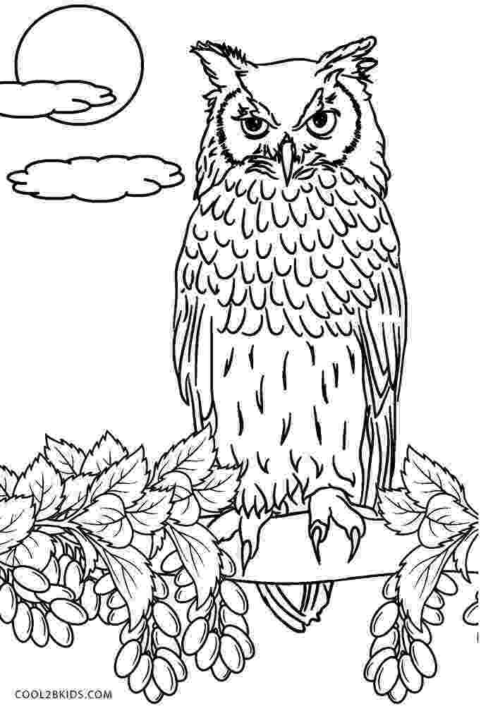 printable owl images cutest cartoon owl coloring page free printable coloring owl images printable 
