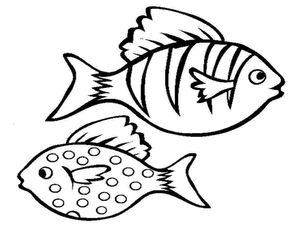 printable pictures of fish bass fish coloring pages getcoloringpagescom fish printable pictures of 