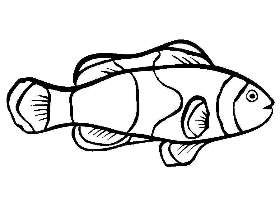 printable pictures of fish free printable fish coloring pages for kids cool2bkids of printable pictures fish 