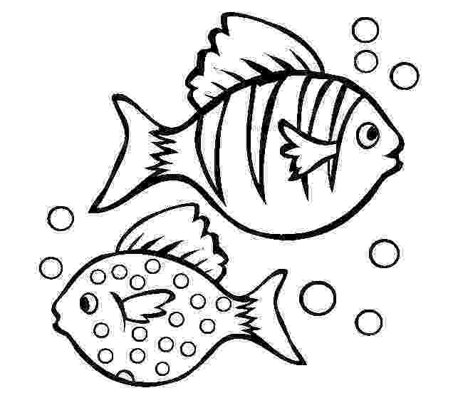 printable pictures of fish quivedilu wiki printable pictures of fish of fish printable pictures 