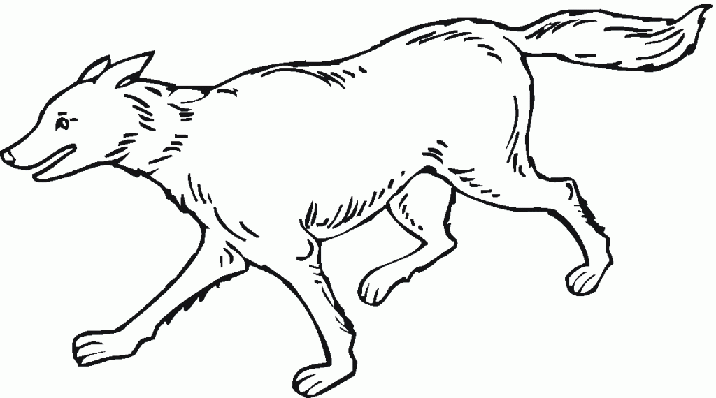 printable pictures of wolves free printable wolf coloring pages for kids coloring wolves of pictures printable 