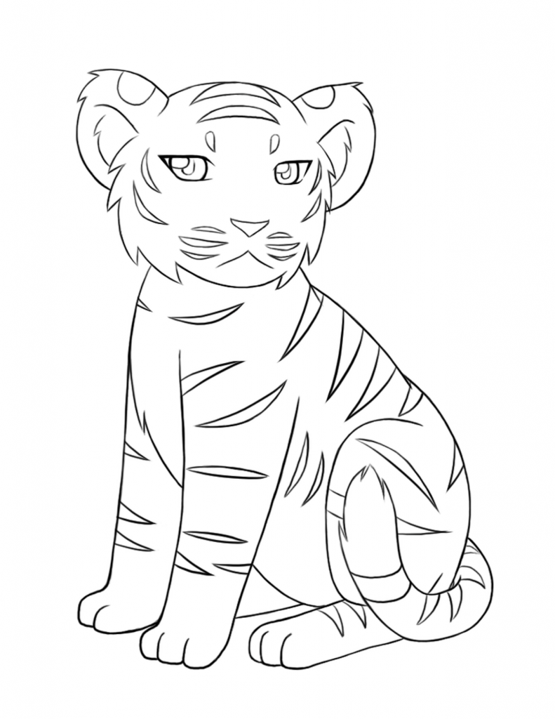 printable tiger pictures free tiger coloring pages pictures tiger printable 