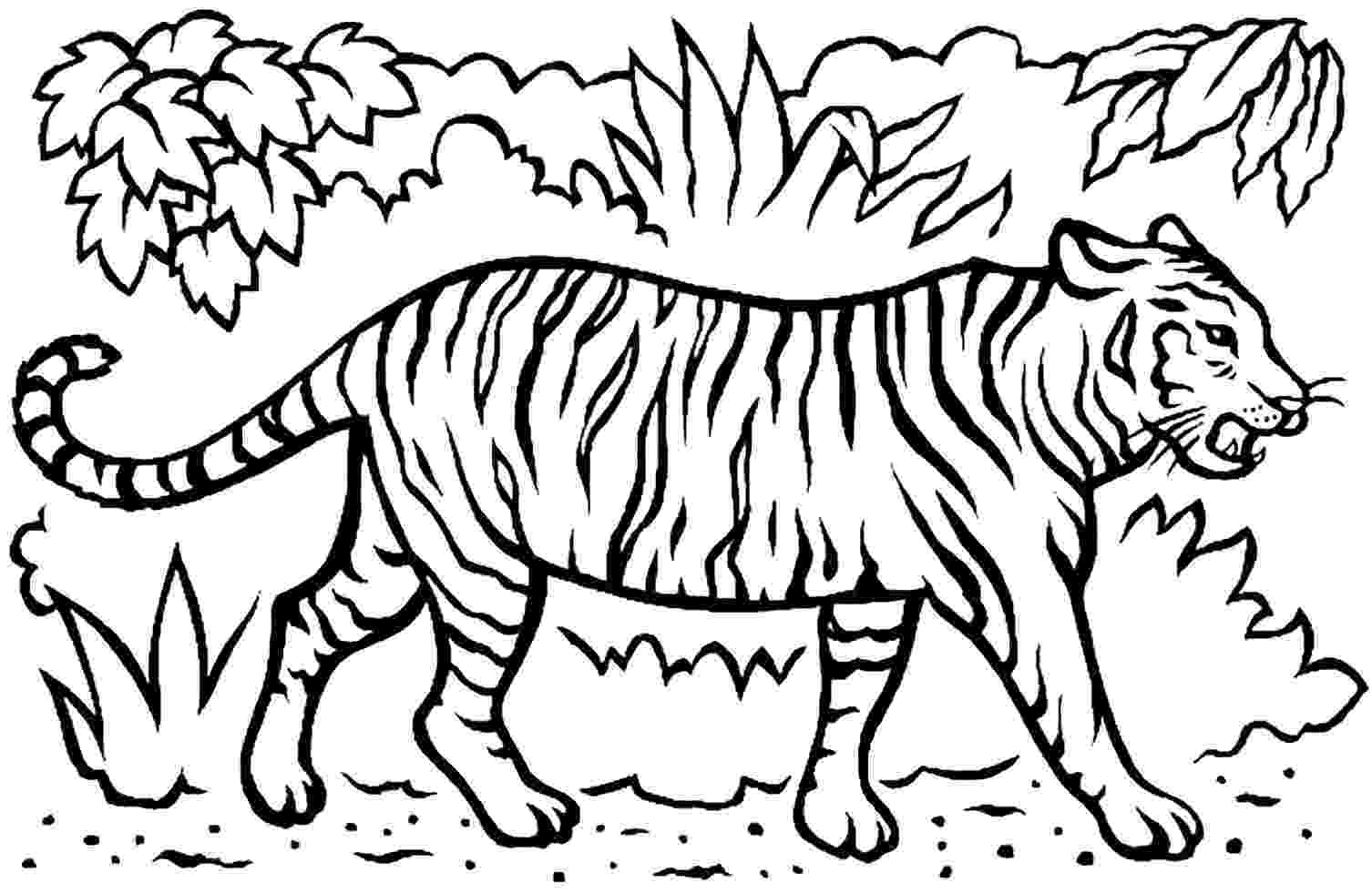 printable tiger pictures tiger coloring pages getcoloringpagescom pictures tiger printable 