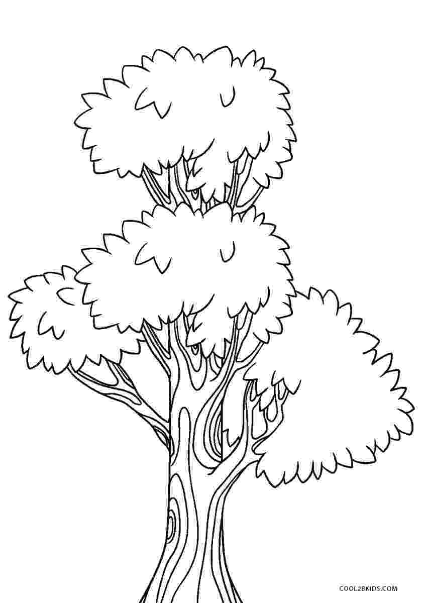 printable tree of life 52 best trees coloring sheets images on pinterest of printable tree life 