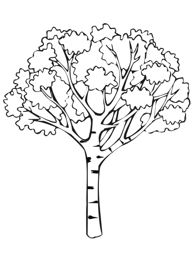 printable tree of life free printable tree coloring pages for kids cool2bkids tree printable of life 