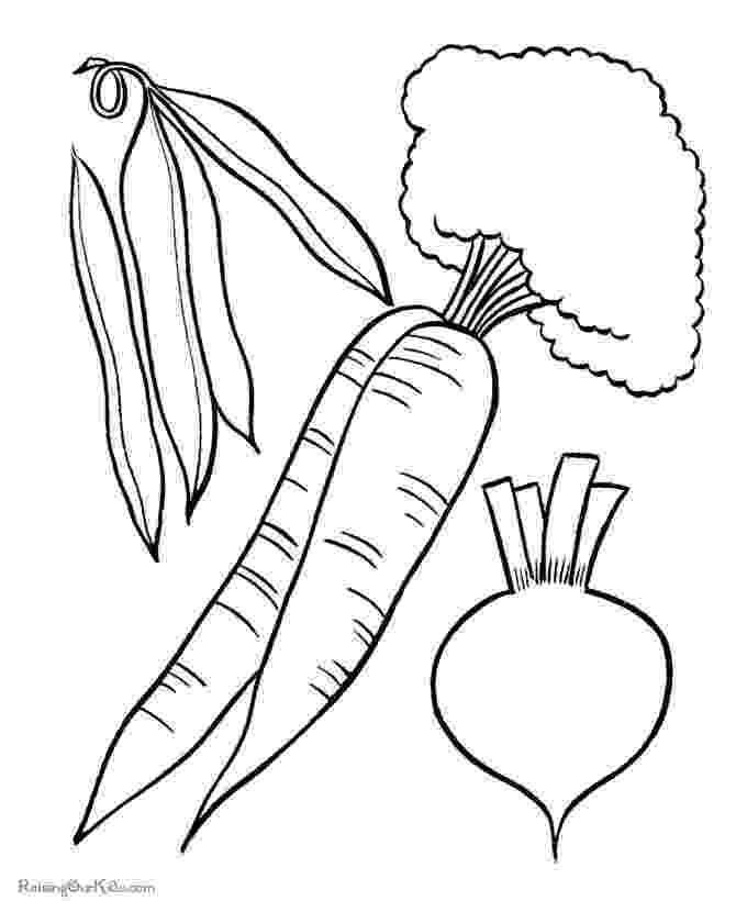 printable vegetables 76 best images about fruits berries and vegetables vegetables printable 