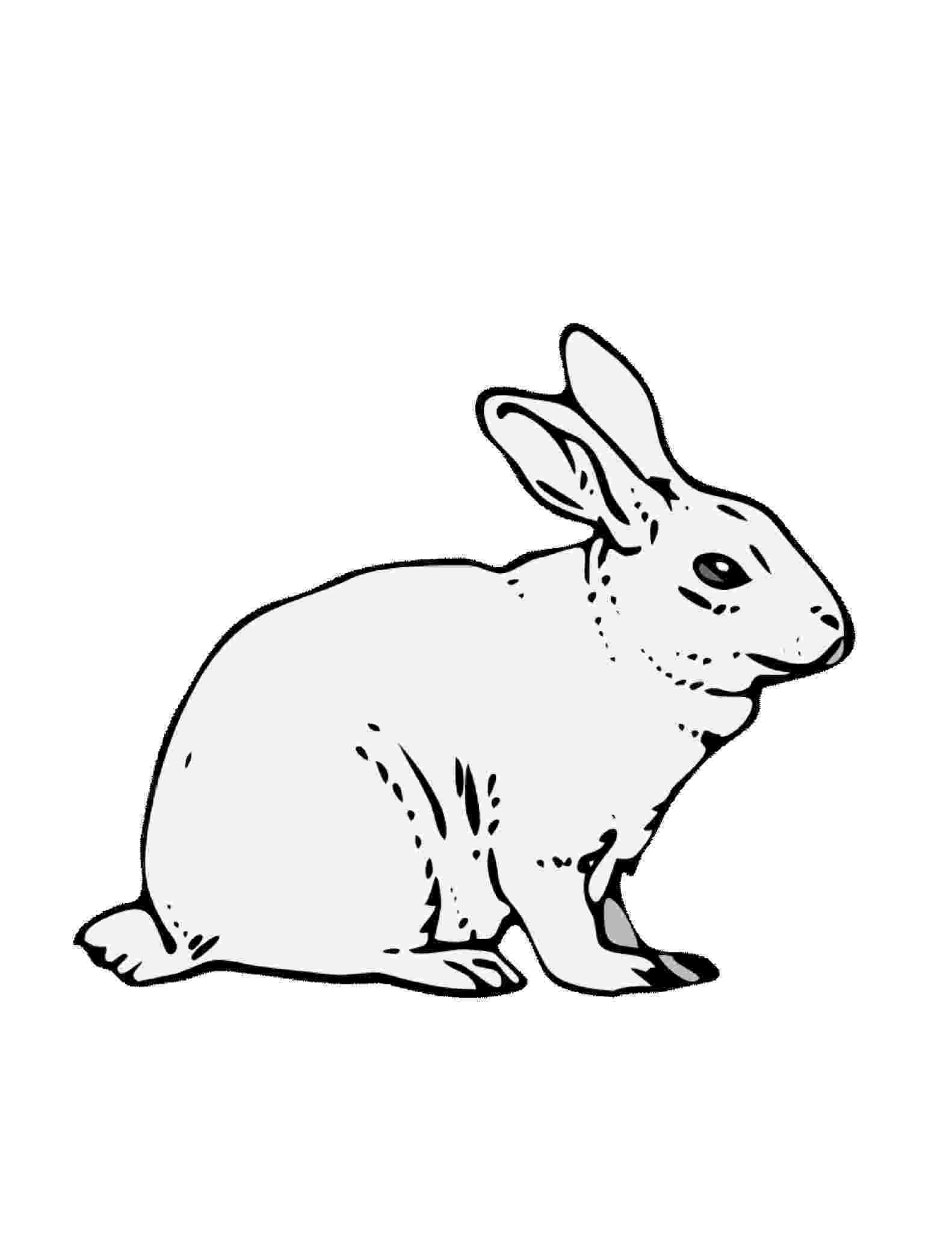 rabbit coloring pages printable free printable rabbit coloring pages for kids rabbit pages coloring printable 