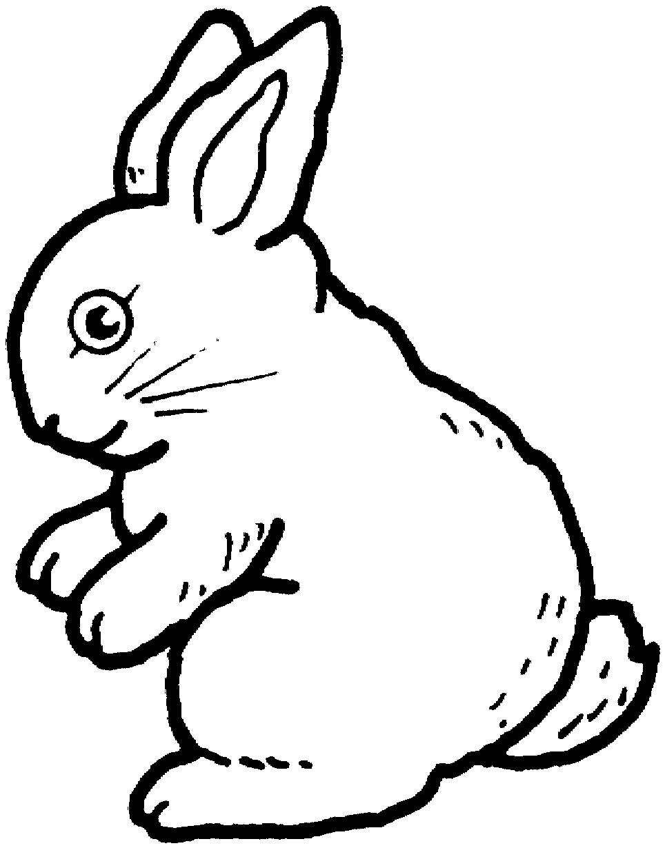 rabbit pictures to colour free printable rabbit coloring pages for kids to rabbit pictures colour 