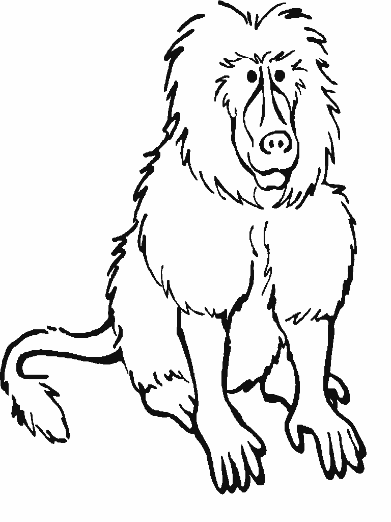rainforest animals pictures to print free rainforest coloring pages free coloring pages rainforest animals print pictures to 