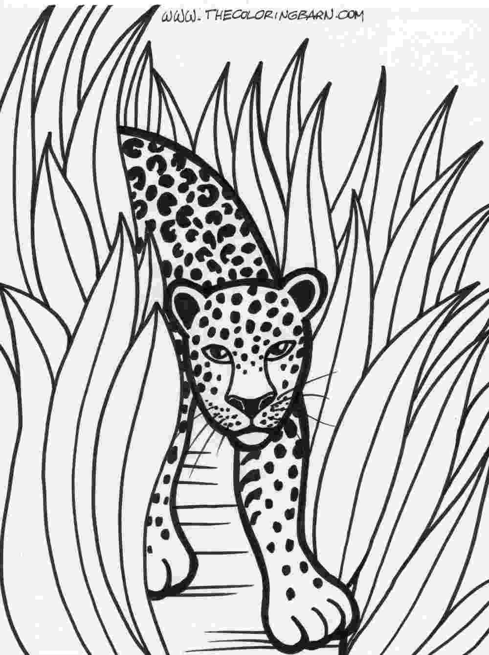 rainforest animals pictures to print rainforest animal coloring pages getcoloringpagescom animals print pictures to rainforest 