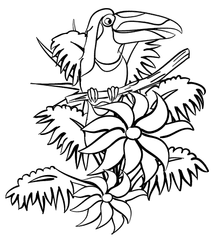 rainforest coloring pages rain forest coloring pages k 3 coloring sevierville tennessee pages coloring rainforest 