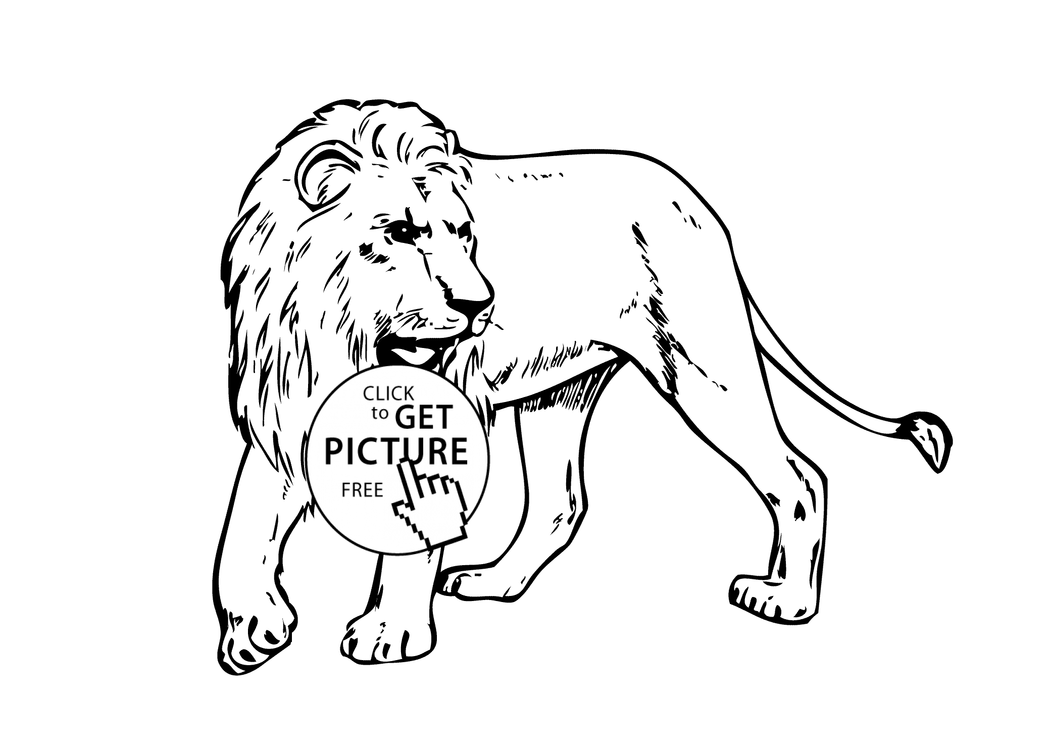 real animal coloring pages animal coloring pages real coloring pages animal 