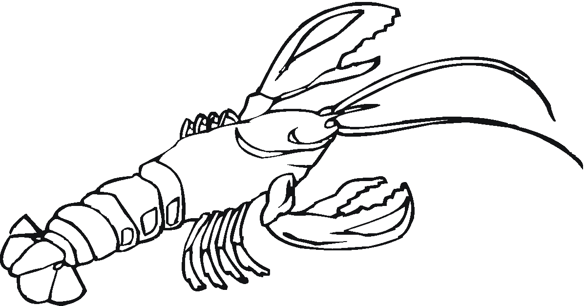 real animal coloring pages real animal coloring pages coloring home real pages coloring animal 
