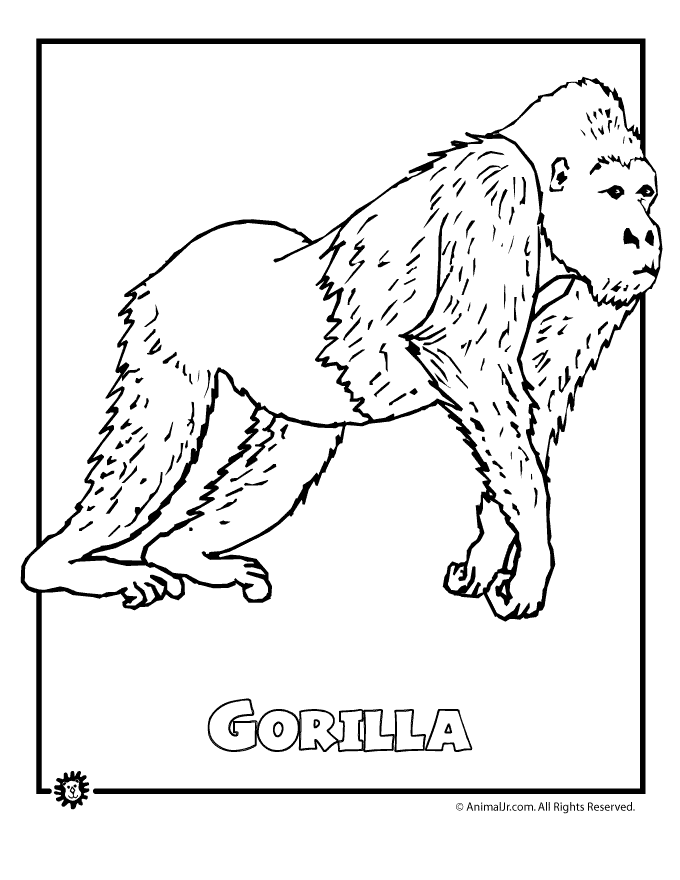 real animal coloring pages real animals coloring pages real coloring pages animal 