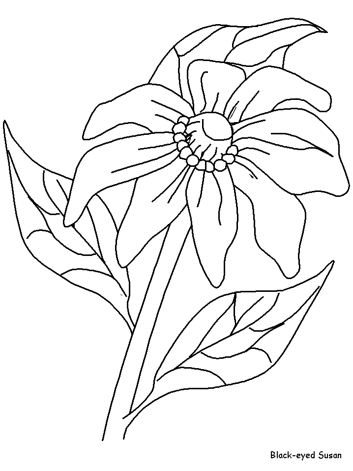 realistic flower coloring pages adult coloring pages flowers to download and print for free flower realistic coloring pages 