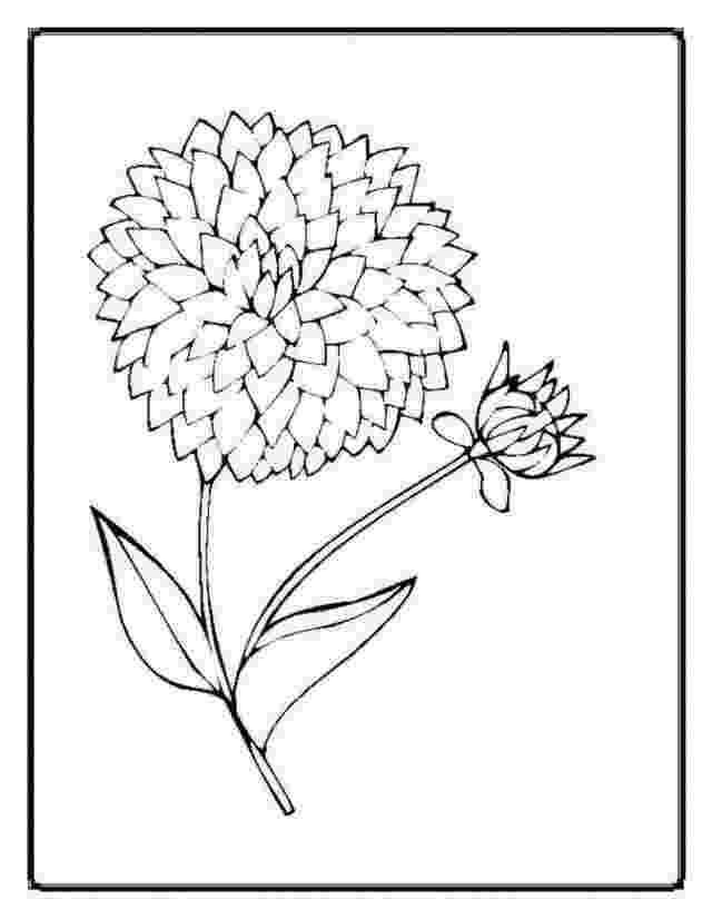 realistic flower coloring pages craft 360 glass painting patterns flower realistic pages coloring 
