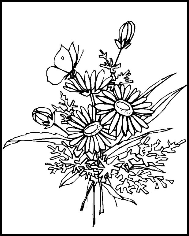 realistic flower coloring pages flower coloring page realistic flower coloring pages realistic flower pages coloring 