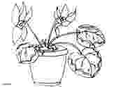 realistic flower coloring pages flowers letmecolor flower realistic coloring pages 