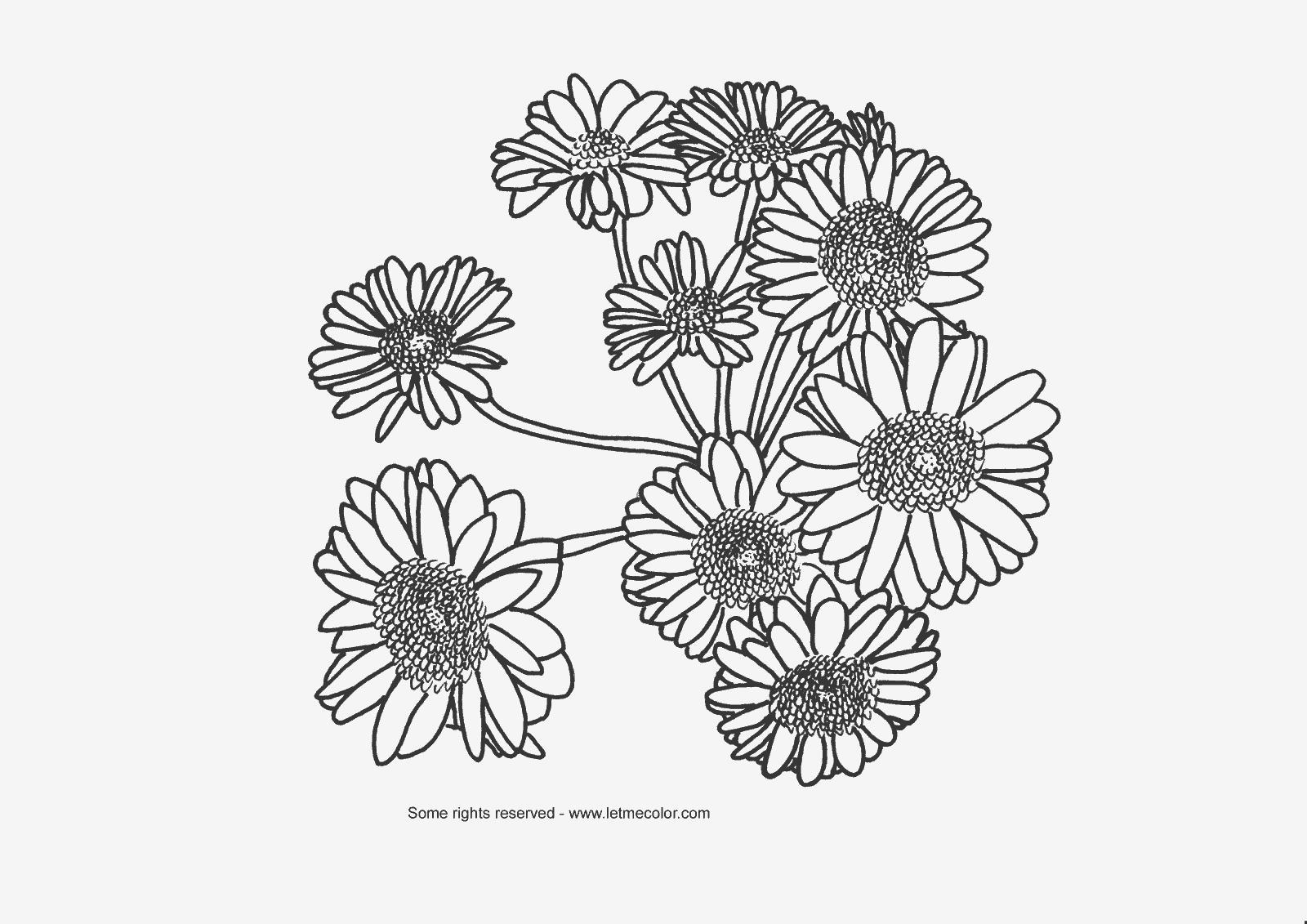 realistic flower coloring pages realistic bouquet of flowers in vase coloring page for pages flower realistic coloring 