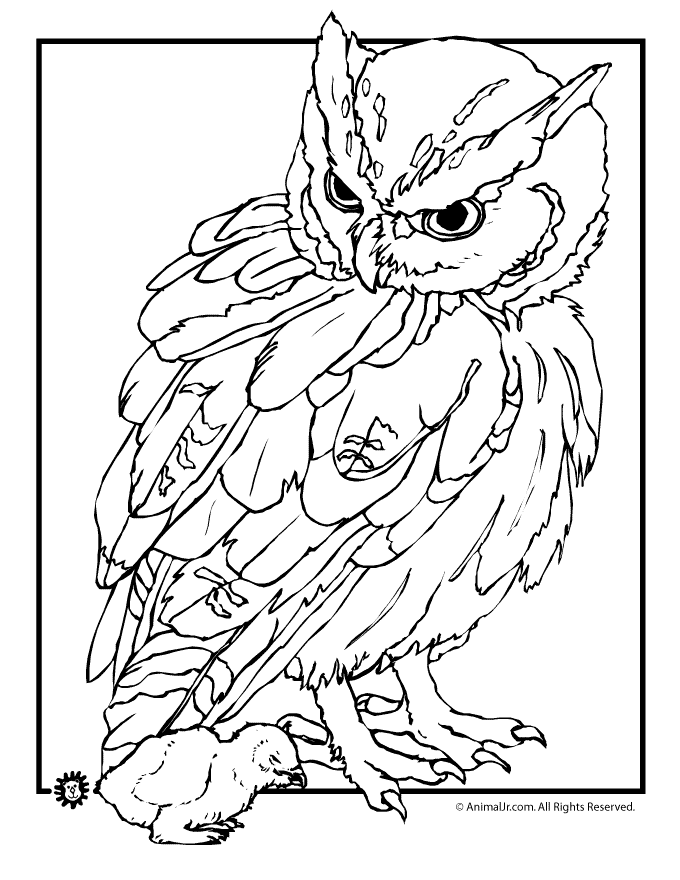 realistic printable coloring pages of animals realistic farm animal coloring pages farm animal pages printable of coloring realistic animals 