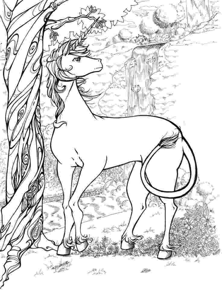 realistic printable coloring pages of animals realistic unicorn coloring pages download and print for free realistic animals coloring of printable pages 