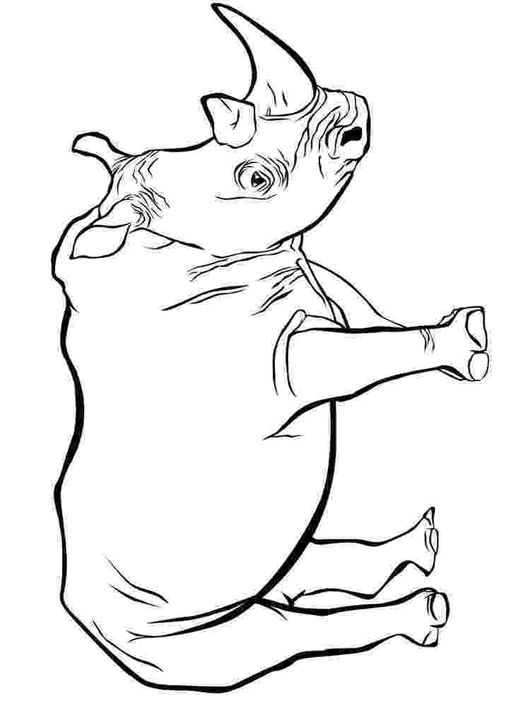 rhino pictures to print free rhinoceros coloring page to pictures print rhino 