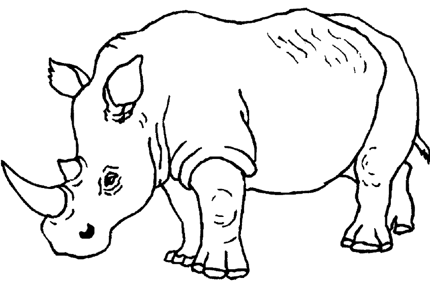 rhino pictures to print rhinoceros coloring pages getcoloringpagescom to rhino pictures print 