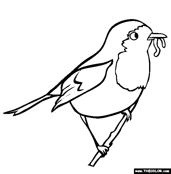 robin colouring robin coloring pages robin colouring 