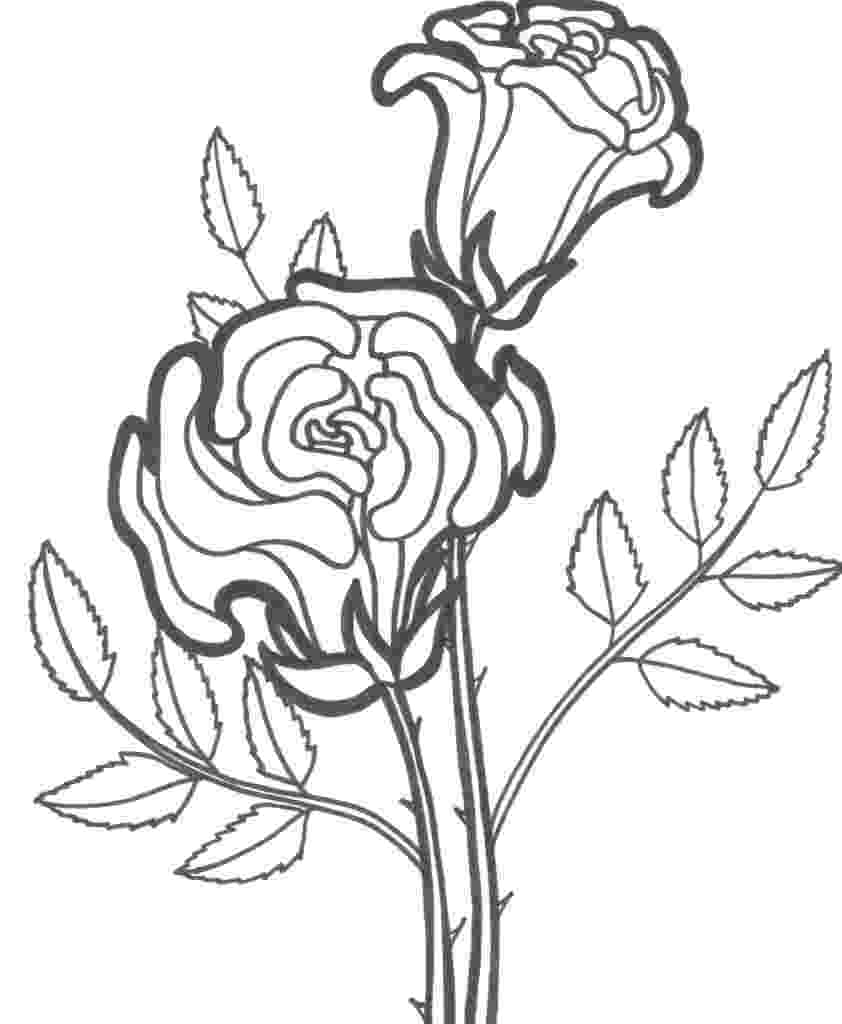 rose coloring pages free free printable roses coloring pages for kids coloring free pages rose 
