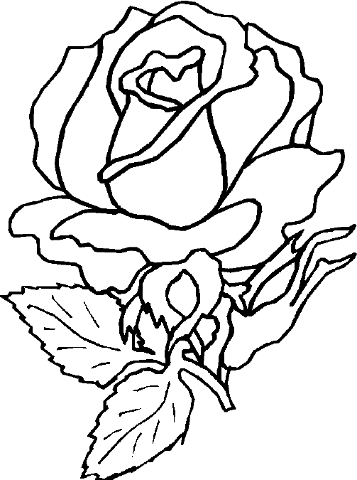 rose coloring pages free free printable roses coloring pages for kids coloring rose free pages 