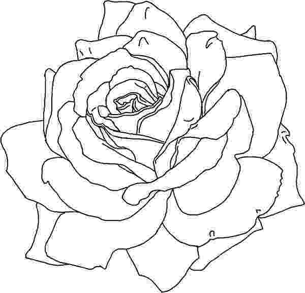 rose coloring pages free free printable roses coloring pages for kids free rose coloring pages 