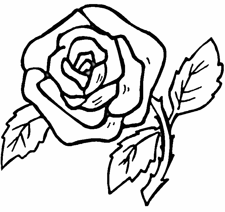 rose flower coloring pages also roses flower rose flower pages coloring 