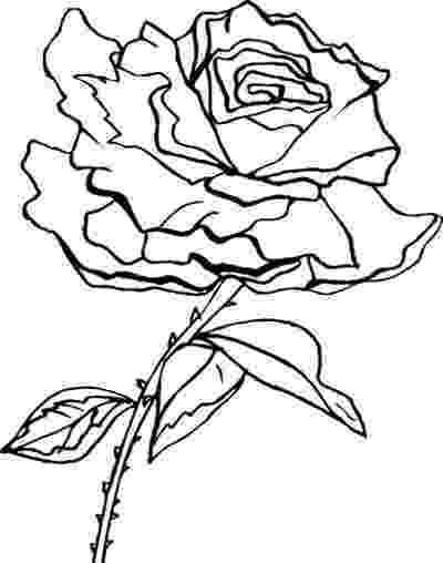 rose flower coloring pages coloring blog for kids rose flower coloring page pictures coloring pages rose flower 