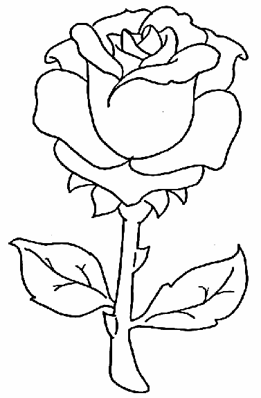 rose flower coloring pages flower rose coloring page rose flower pages coloring 