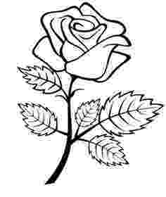 rose pictures to trace easy flowers to draw clipart best tracing pictures pictures to rose trace 
