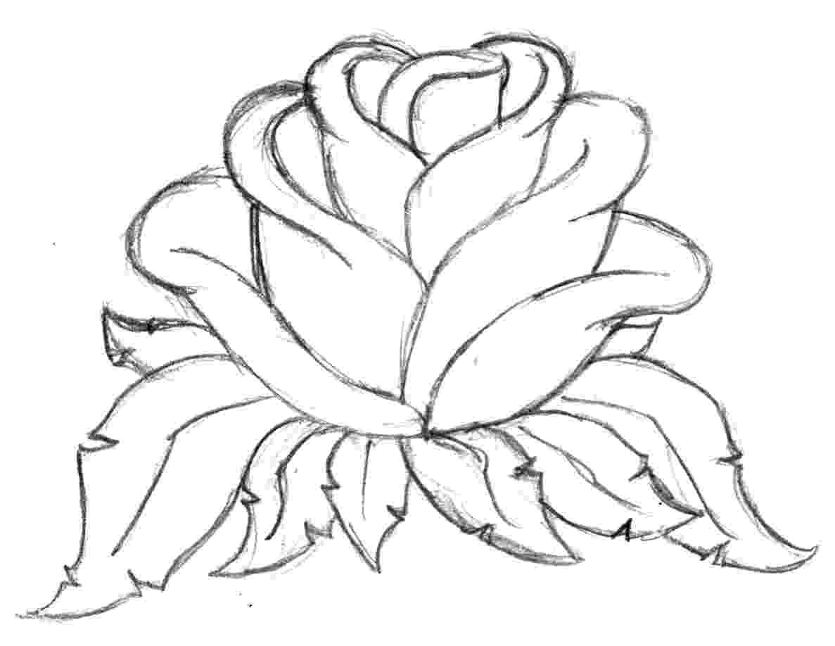 rose pictures to trace free traceable roses download free clip art free clip pictures trace rose to 