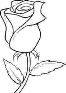 rose pictures to trace pictures of roses to trace wallpapers gallery rose pictures trace to 