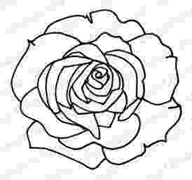 rose pictures to trace traceable flower patterns clipart best pictures to trace rose 